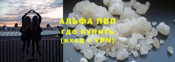 ГАЛЛЮЦИНОГЕННЫЕ ГРИБЫ Гусь-Хрустальный