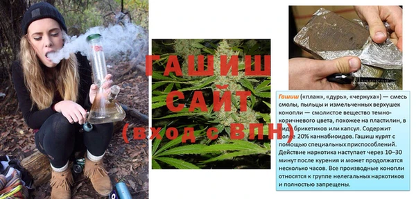 ГАЛЛЮЦИНОГЕННЫЕ ГРИБЫ Гусь-Хрустальный
