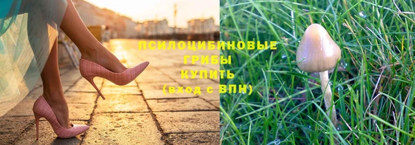 ГАЛЛЮЦИНОГЕННЫЕ ГРИБЫ Гусь-Хрустальный