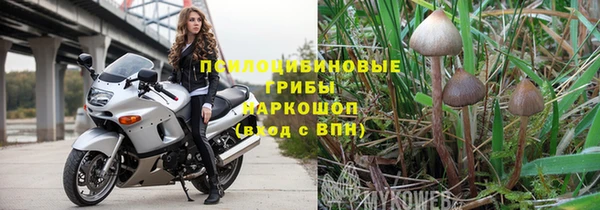 ГАЛЛЮЦИНОГЕННЫЕ ГРИБЫ Гусь-Хрустальный