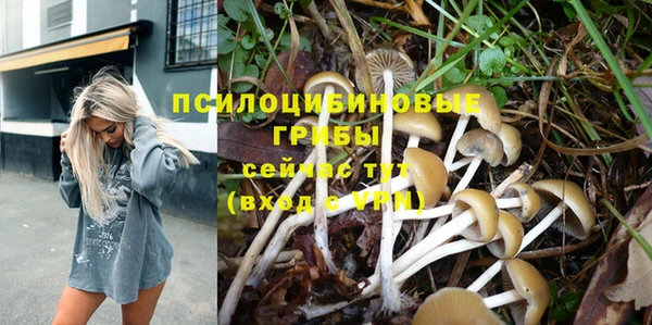 ГАЛЛЮЦИНОГЕННЫЕ ГРИБЫ Гусь-Хрустальный