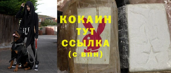 ГАЛЛЮЦИНОГЕННЫЕ ГРИБЫ Гусь-Хрустальный