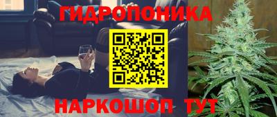 круглые Лесосибирск